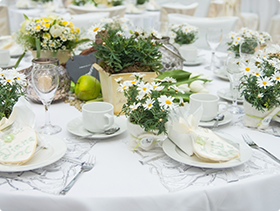 Wedding Linen Hire